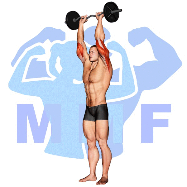 EZ Bar Standing French Press Exercise - A Great Way To Build Your Triceps