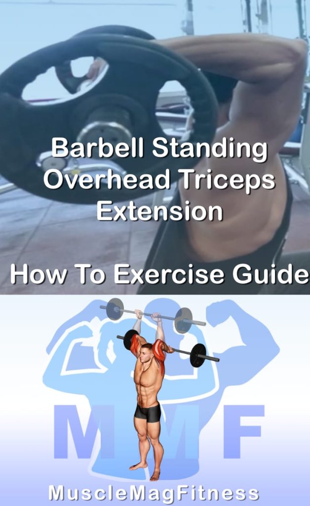 Pin image for barbell standing overhead triceps extension post. With an image of a man performing the exercise on Top and a graphic of the exercise on the Bottom.