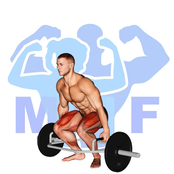 Trap Bar Deadlift Exercise - Your Guide To Proper Form And Building Strength