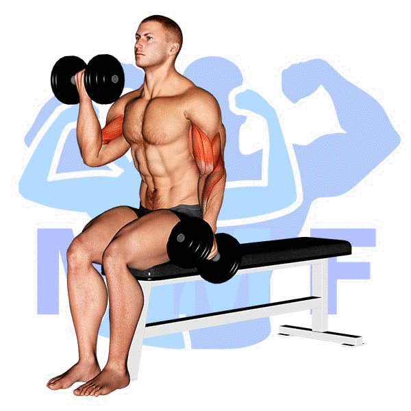 Man Performing Alternating Dumbbell Curls