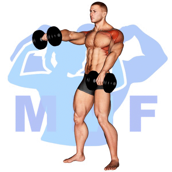 Man Performing Alternating Dumbbell Raise