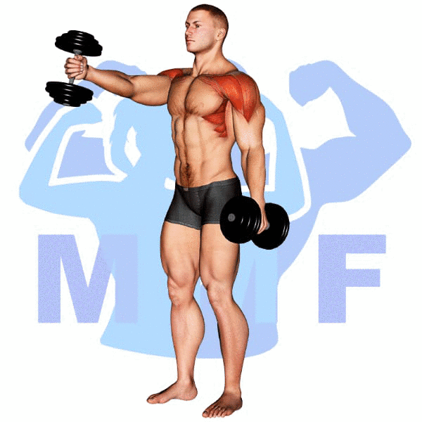 Man Performing Alternating Dumbbell Vertical Front Raise