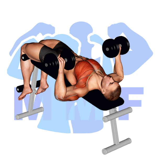 Man Performing Decline Dumbbell Bench Press