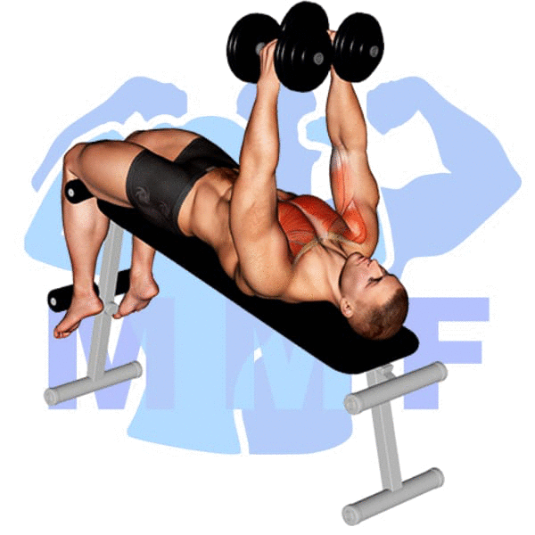 Man Performing Decline Dumbbell Fly