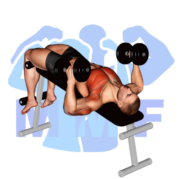 Man Performing Decline Dumbbell Hammer Press