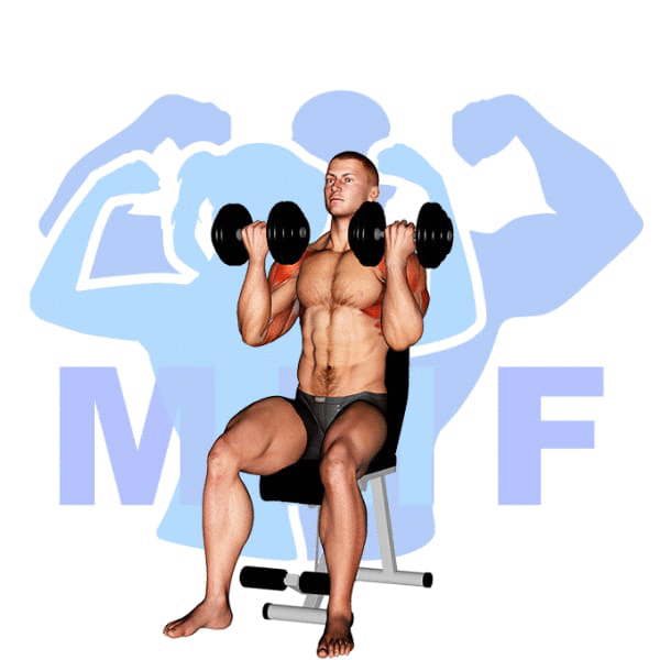 Man Performing Dumbbell Arnold Press