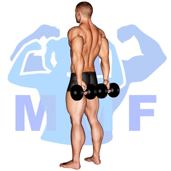 Graphic image of a fit man performing alternate cable triceps extensions.