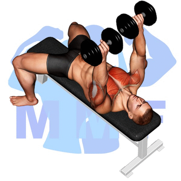 Man Performing Dumbbell Bench Press
