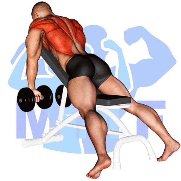 Man Performing Dumbbell Chest Supported Row