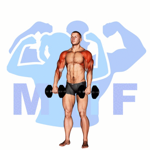 Man Performing Dumbbell Cuban Press