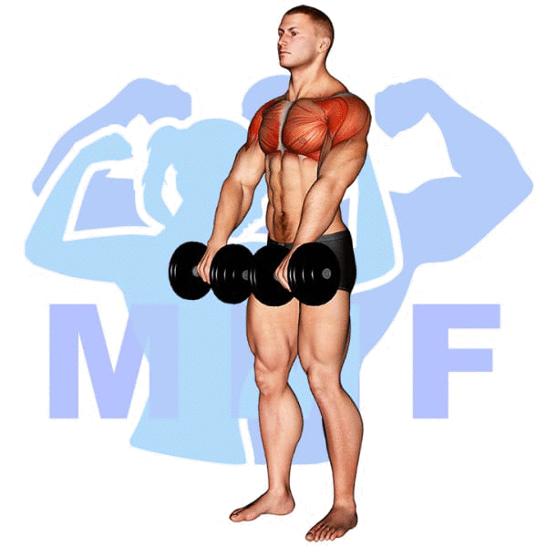 Man Performing Dumbbell Front Raise