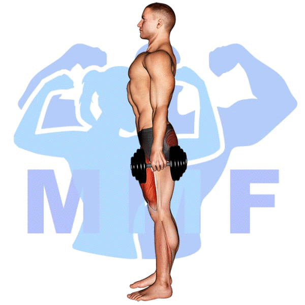 Man Performing Dumbbell Half Squat