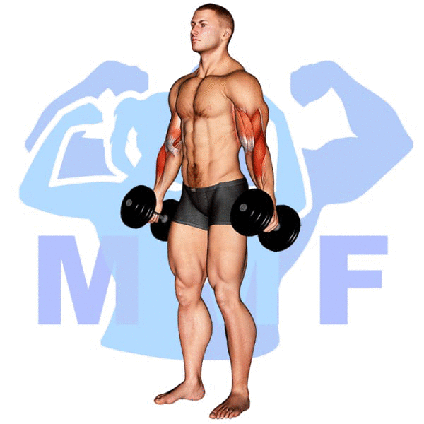 Man Performing Dumbbell Hammer Curl