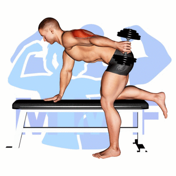 Man Performing Dumbbell Kickback