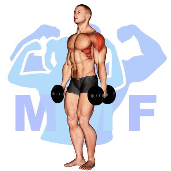 Man Performing Dumbbell Lateral Raise