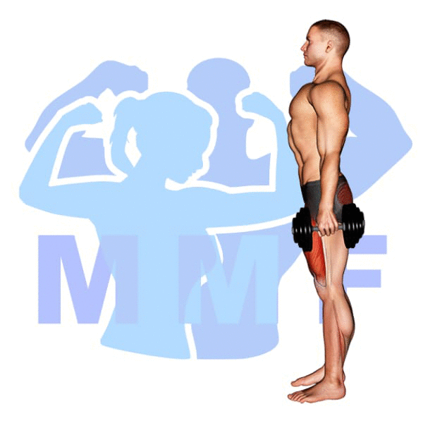 Man Performing Dumbbell Lunge