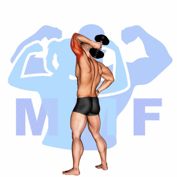 Man Performing Dumbbell One Arm Extension