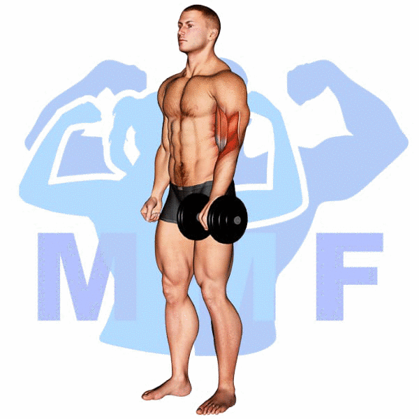 Man Performing Dumbbell One Arm Reverse Curl