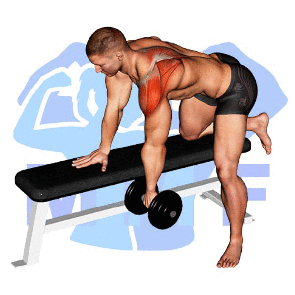 Man Performing Dumbbell One Arm Row