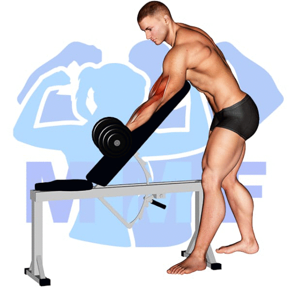 Man Performing Dumbbell One Arm Zottman Preacher Curl