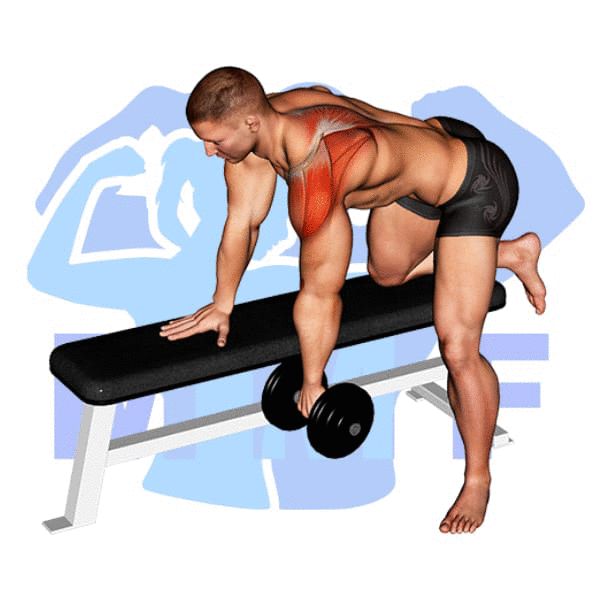 Man Performing Dumbbell Rear Deltoid Raise