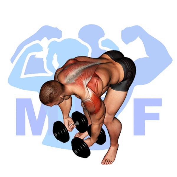 Man Performing Dumbbell Rear Lateral Raise