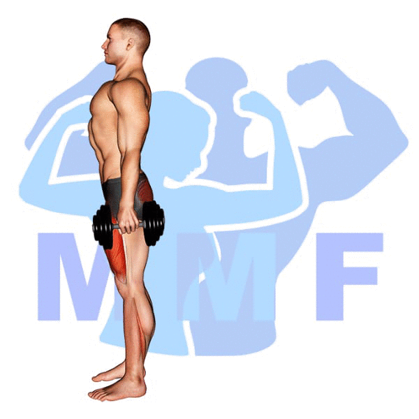 Man Performing Dumbbell Rear Lunge