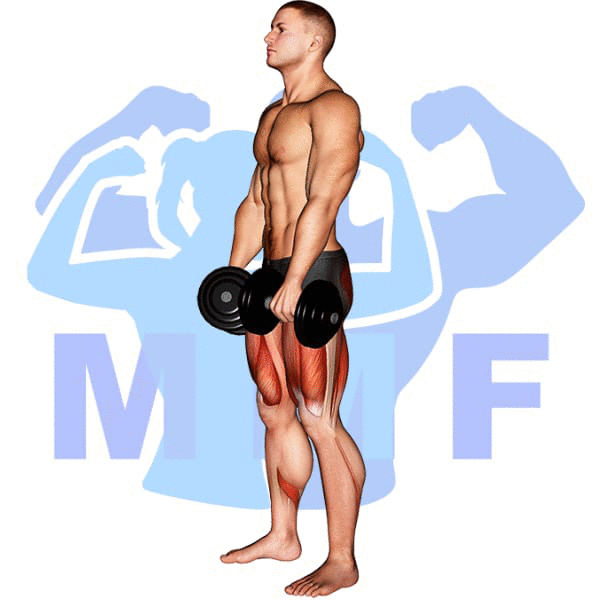 Man Performing Dumbbell Romanian Deadlift