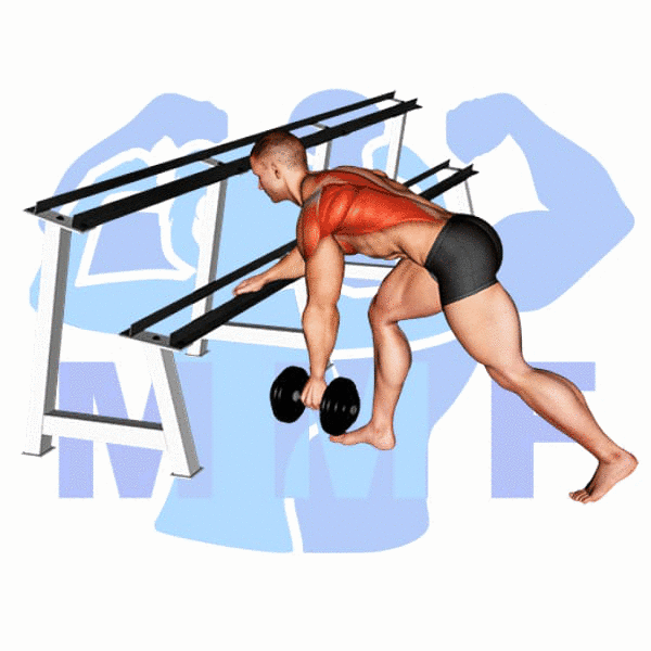 Man Performing Dumbbell Supported One Arm Row