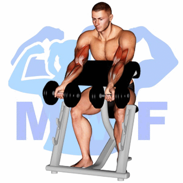 Man Performing Dumbbell Zottman Preacher Curl
