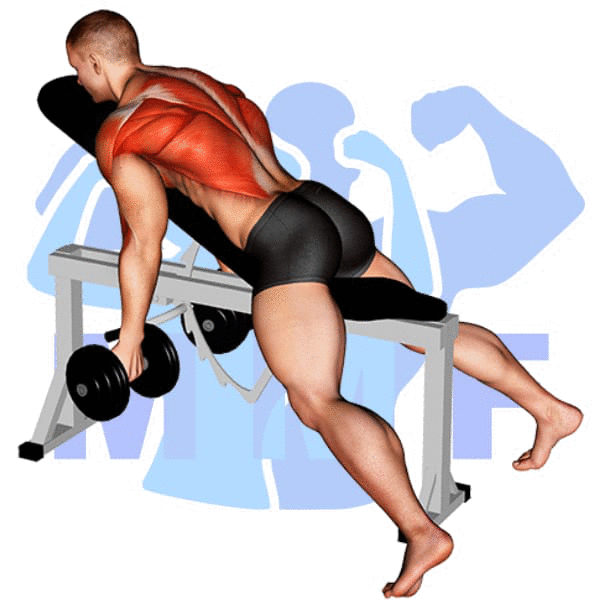 Graphic image of a fit man performing alternate cable triceps extensions.