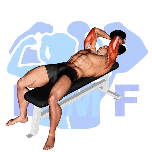 Man Performing Lying Dumbbell Single Extension