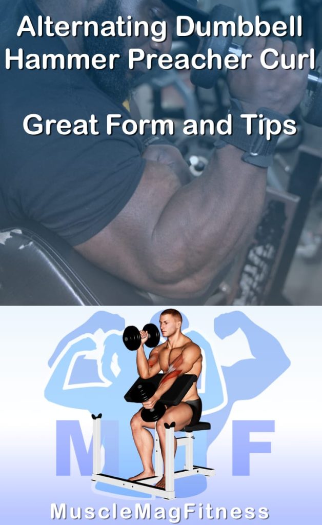 Pin image for alternating dumbbell hammer preacher curl post. With an image of a man performing the exercise on Top and a graphic of the exercise on the Bottom.