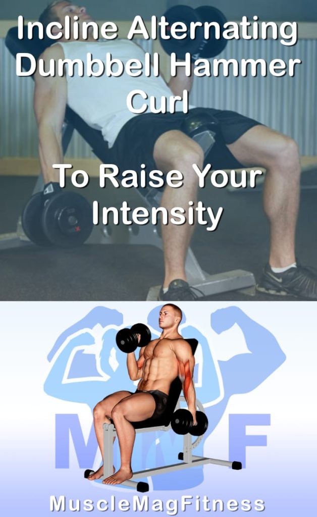 Pin image for incline alternating dumbbell hammer curl post. With an image of a man performing the exercise on Top and a graphic of the exercise on the Bottom.