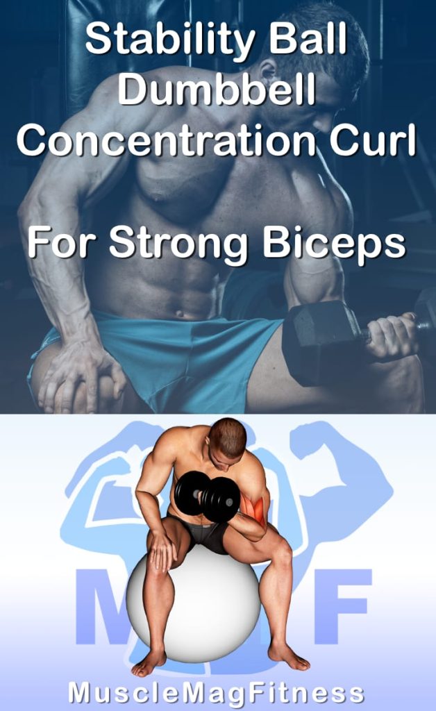 Pin image for stability ball dumbbell concentration curl post. With an image of a man performing the exercise on Top and a graphic of the exercise on the Bottom.