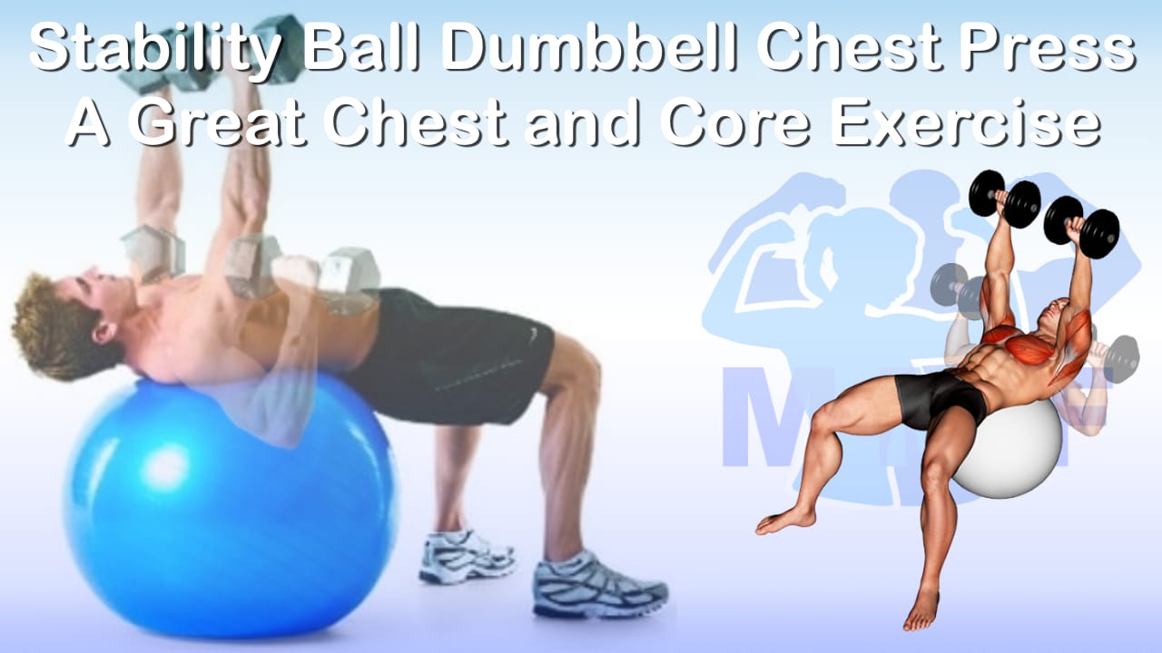 Stability Ball Dumbbell Chest Press: A Great Chest and Core Exercise ...