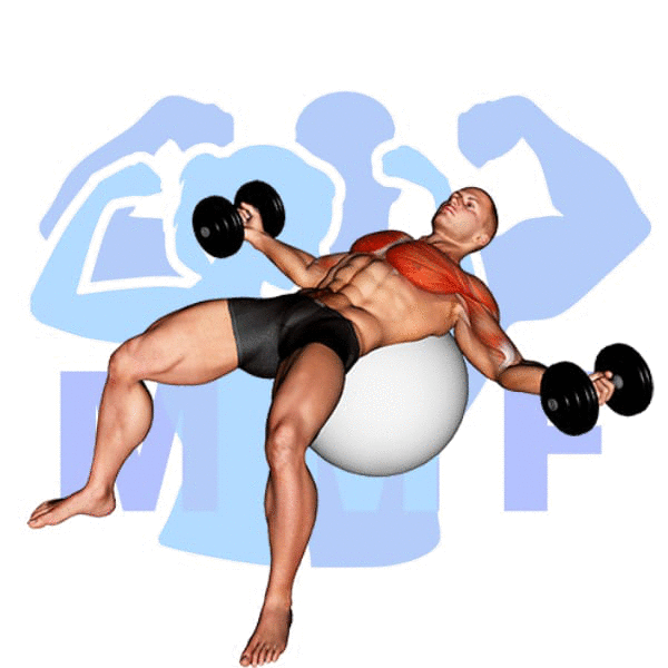 Man Performing Stability Ball Dumbbell Fly