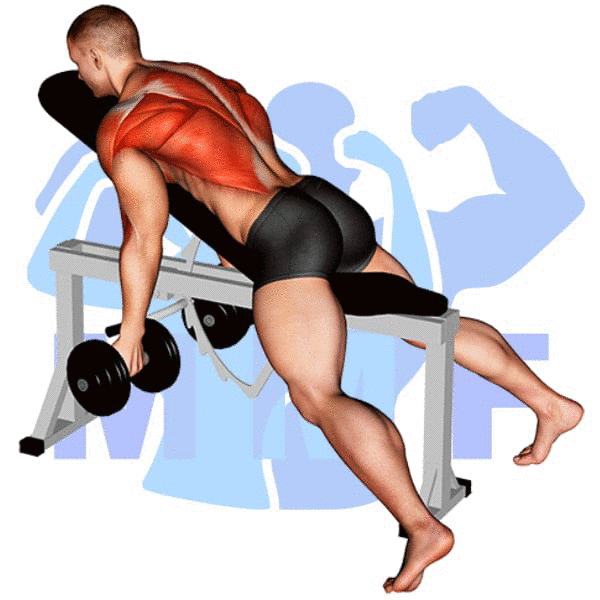 Man Performing Underhand Dumbbell Row