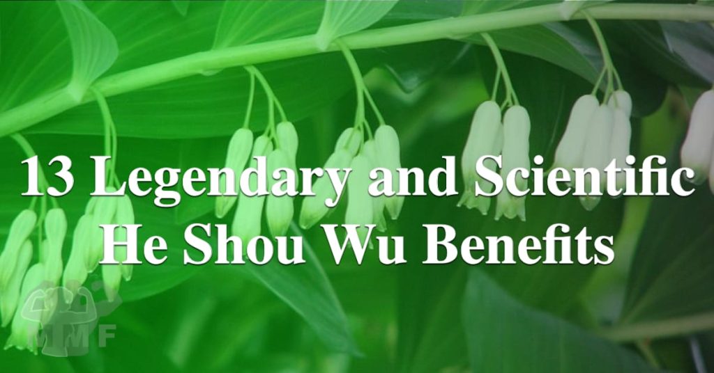 13 Legendary and Scientific He Shou Wu Benefits - Are you considering taking He Shou Wu for its legendary benefit?  If you live in America you may have heard the herb called Fo-ti which is He Shou Wu.  Recently scientists have been conducting studies to back up the legendary He Shou Wu Benefits.