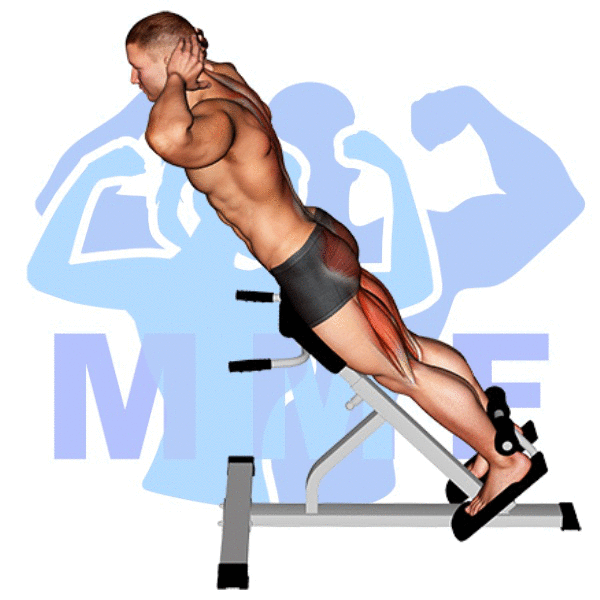 Graphic image of a muscular man performing 45 Degree Hyperextensions.