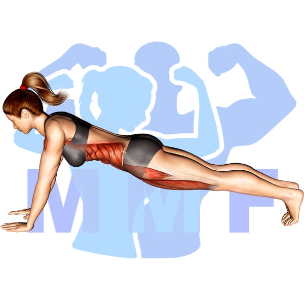 Graphic image of a fit woman performing Bridge.