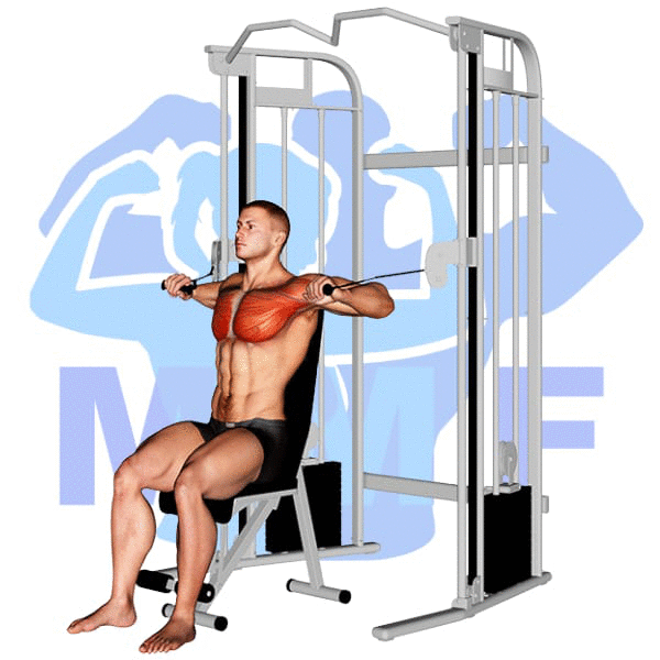 Graphic image of a muscular man performing Cable Chest Press.