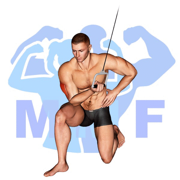 Graphic image of a muscular man performing Cable Concentration Extensions.