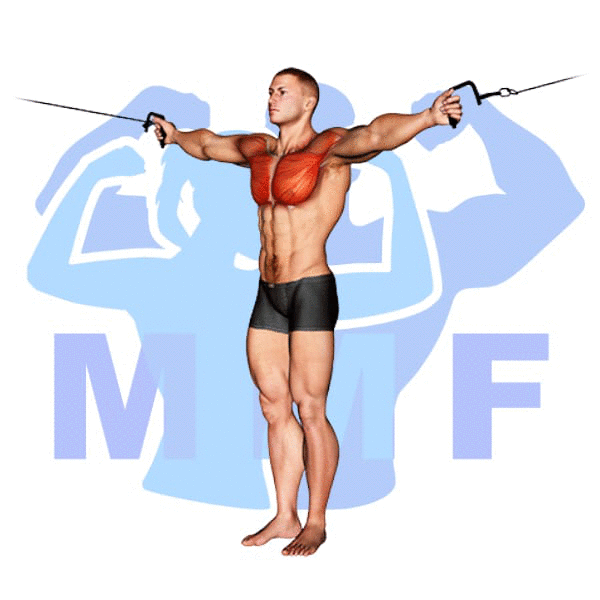 Graphic image of a muscular man performing Cable Decline Fly.