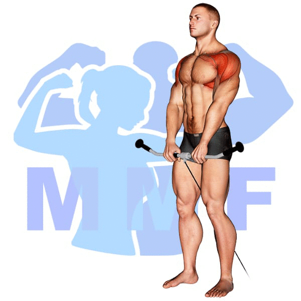 Graphic image of a muscular man performing Cable Front Raises.