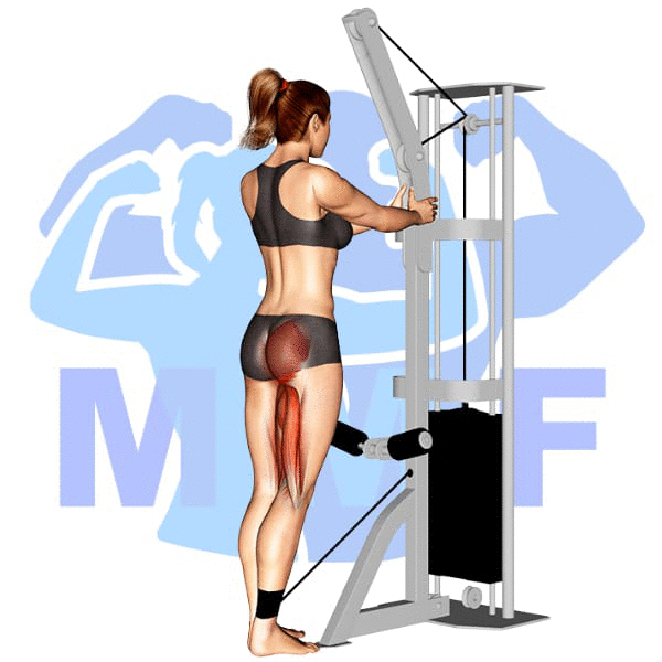 Graphic image of a fit woman performing Cable Glute Kickbacks.