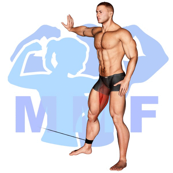 Graphic image of a muscular man performing Cable Hip Adduction.