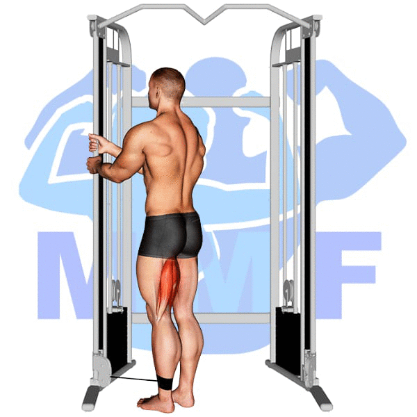 Graphic image of a muscular man performing Cable Leg Curl.
