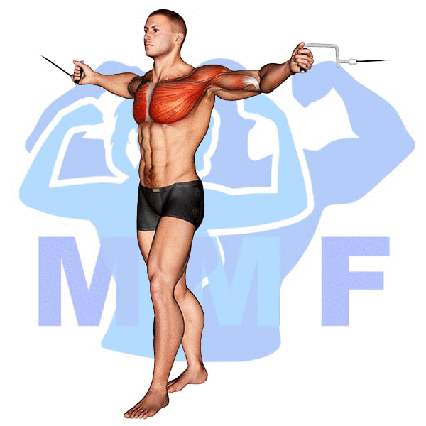 Graphic image of a muscular man performing Cable Low Fly.