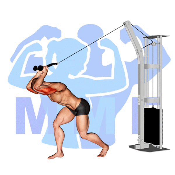 Graphic image of a fit man performing alternate cable triceps extensions.